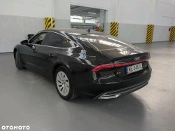 3-1751747406